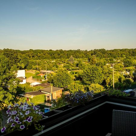 Doppelhaus- Villa Leipzig Schleussig , Moderner Altbau Apartment Dachetage Mit 2 Schlafzimmern Und Separatem Zusatzzimmer , Parkplatz - Balkon - Kamin - Eicheparkett - Arbeitsplatz Exteriör bild